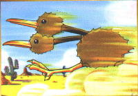 Doduo