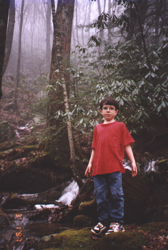 in the woods