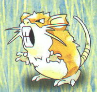 Raticate